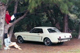 Ford Mustang 1965