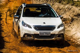Peugeot 2008 Griffe THP 15