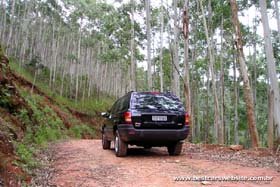 Clique para ampliar a imagem