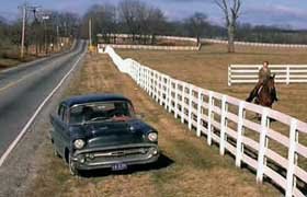 Quando os Jovens se Tornam Adultos