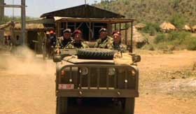 Selvagens C�es de Guerra